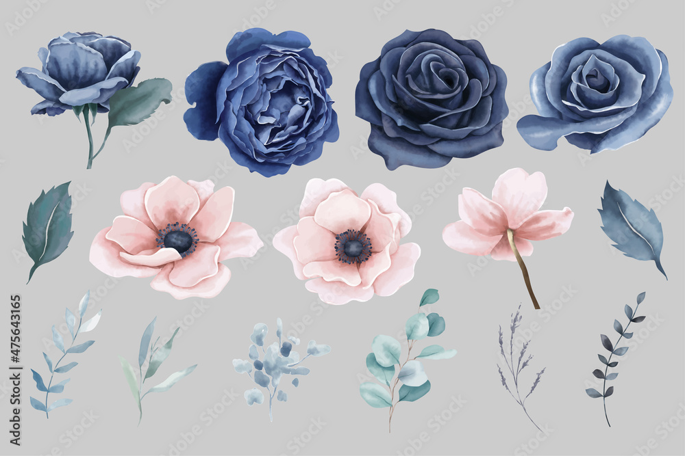 Watercolor navy blue roses and peach anemones flowers elements
