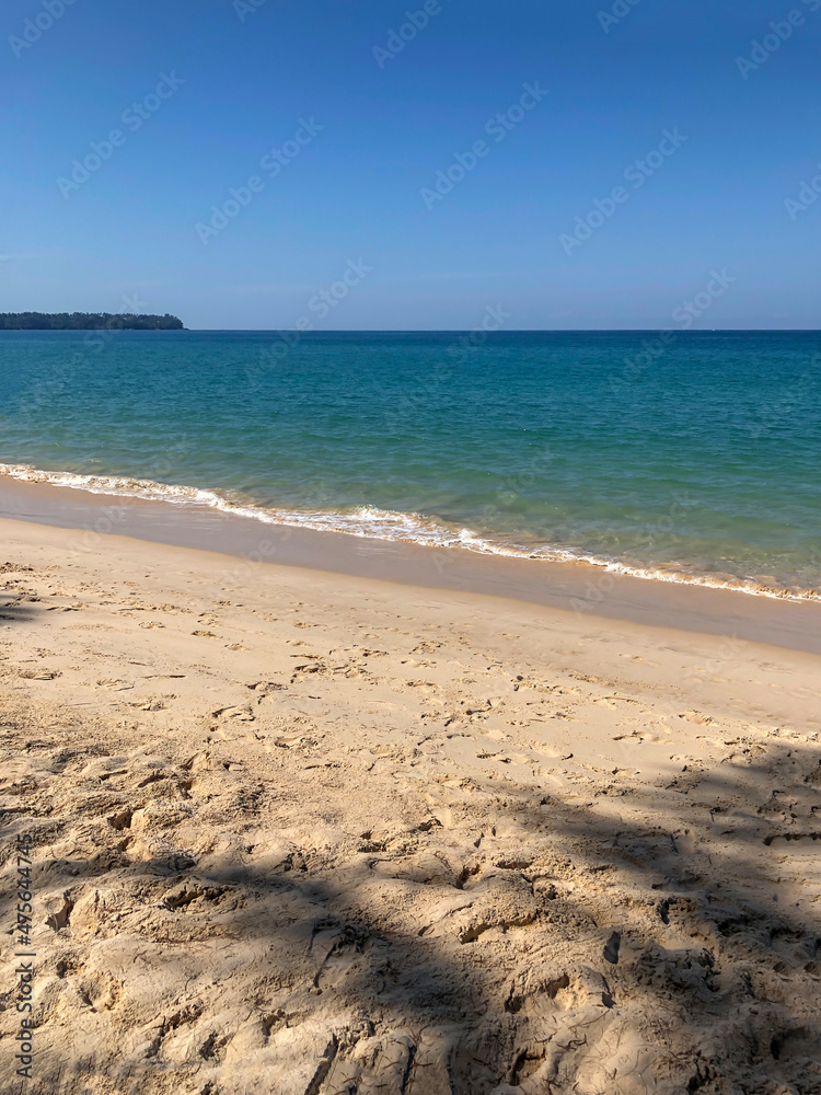 beach, palm trees and Andaman sea in Thailand on Phuket island beach, palm trees and Andaman sea in Thailand on Phuket island