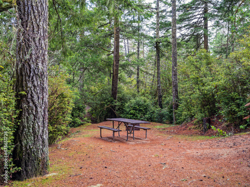 Photo Secluded campsite at the Eel Creek Campground in Oregon, USA