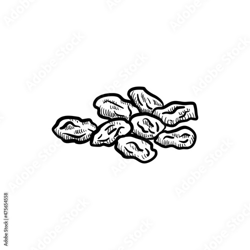 vector drawing raisin , dried berries of grape isolated at white background, hand drawn illustration