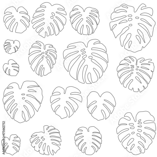 Monstera tropical plants black and white svg vector illustration for coloring