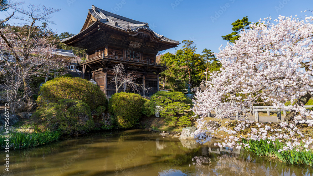 高麗山聖天院勝楽寺(こまざん しょうでんいん しょうらくじ)の楼門と池の桜/日本埼玉県日高市 高麗山聖天院勝楽寺(こまざん しょうでんいん しょうらくじ)の楼門と池の桜/日本埼玉県日高市