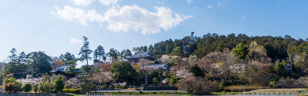 高麗山聖天院勝楽寺(こまざん しょうでんいん しょうらくじ)の春の遠景/日本埼玉県日高市 高麗山聖天院勝楽寺(こまざん しょうでんいん しょうらくじ)の春の遠景/日本埼玉県日高市