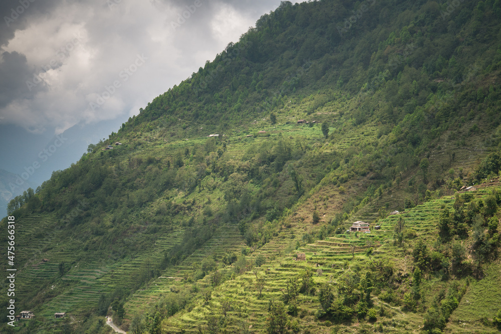 Annapurna Sanctuary trek part from Pitam Deurali to Bamboo. Annapurna Sanctuary trek part from Pitam Deurali to Bamboo.