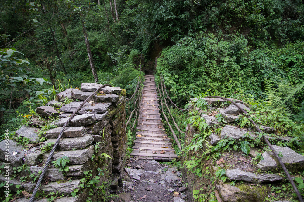 Annapurna Sanctuary trek part from Pitam Deurali to Bamboo. Annapurna Sanctuary trek part from Pitam Deurali to Bamboo.