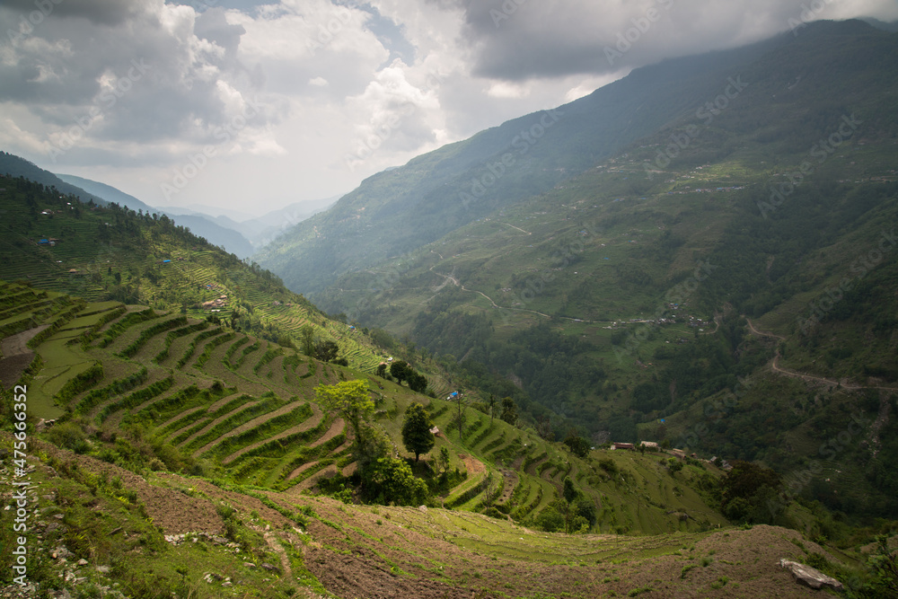 Fototapeta premium Annapurna Sanctuary trek part from Pitam Deurali to Bamboo.