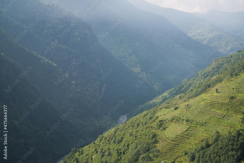 Fototapeta premium Annapurna Sanctuary trek part from Pitam Deurali to Bamboo.