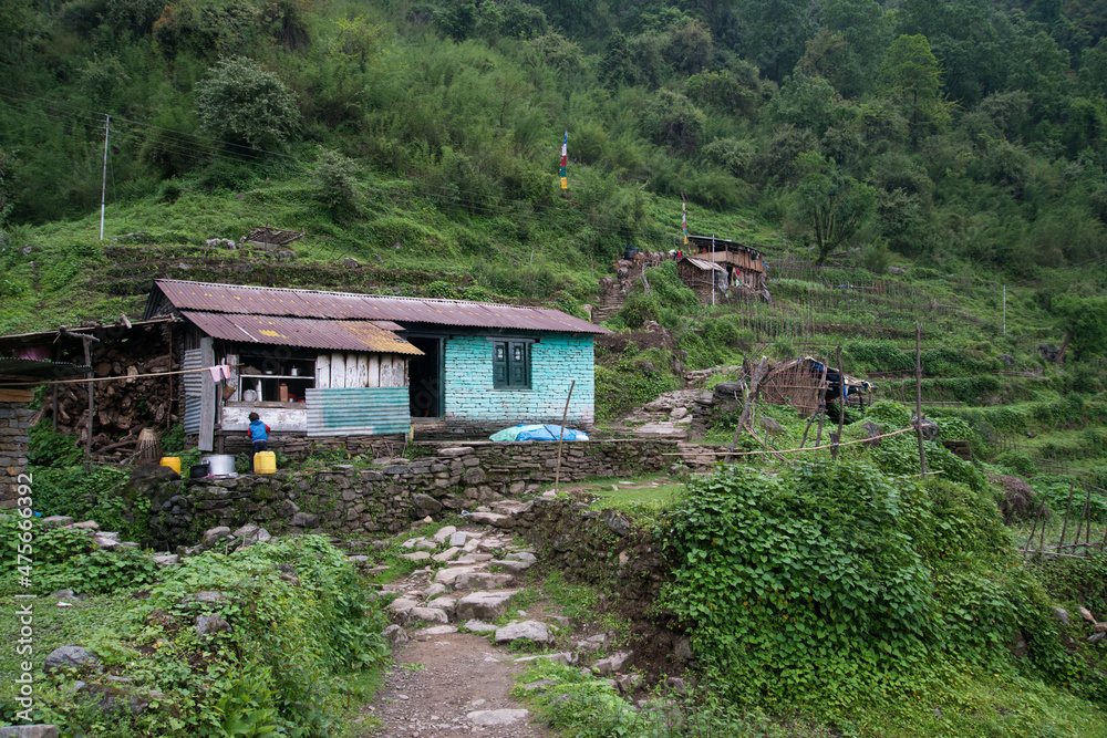 Annapurna Sanctuary trek part from Pitam Deurali to Bamboo. Annapurna Sanctuary trek part from Pitam Deurali to Bamboo.