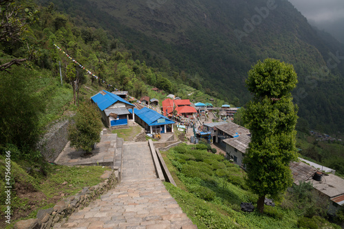 Annapurna Sanctuary trek part from Pitam Deurali to Bamboo.