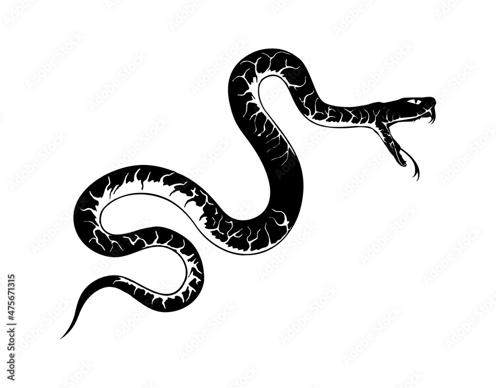 Fototapeta premium snake vector image in black color