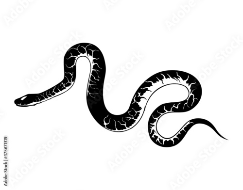 snake vector image in black color