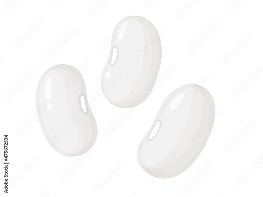 Kidney beans. White beans in cartoon style. Healthy vegetarian food illustration. Kidney beans. White beans in cartoon style. Healthy vegetarian food illustration.