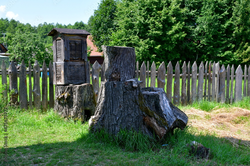 A close up on a stump of a chopped down tree with a big beehive or birdhouse standing on top of it, made out of planks, logs, and sticks, located next to a wooden fence and a lush forest or moor