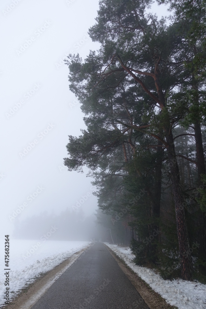 Obraz premium Landschaft im Nebel