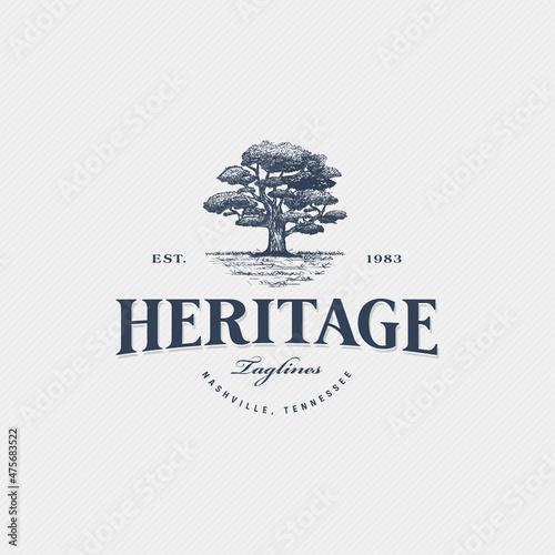 Old tree vintage logo vector