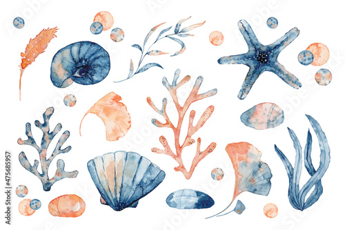 Watercolor set of isolated objects drawing blue and pink algae and corals