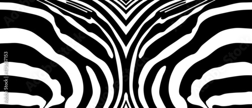 Zebra pattern using as panorama background  vector illustration