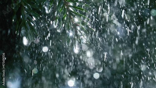 Water drops falling down in slow motion from icicles on fir tree branch against forest background. Sun shining through raindrops. Zoom effect. Winter or spring landscape. Heavy rain.
