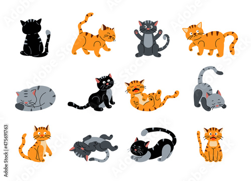 Cartoon cats. Cute doodle cat characters with different colors poses emotions and behavior. Vector funny kitty