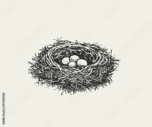 Birds Nest with Eggs Hand Drawn Vector Illustration