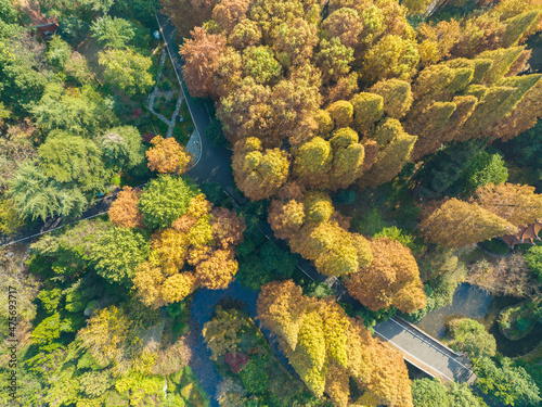 Autumn scenery in Wuhan Botanical Garden, Hubei, China