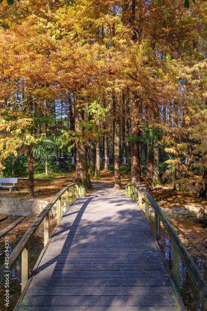 Autumn scenery in Wuhan Botanical Garden, Hubei, China Autumn scenery in Wuhan Botanical Garden, Hubei, China