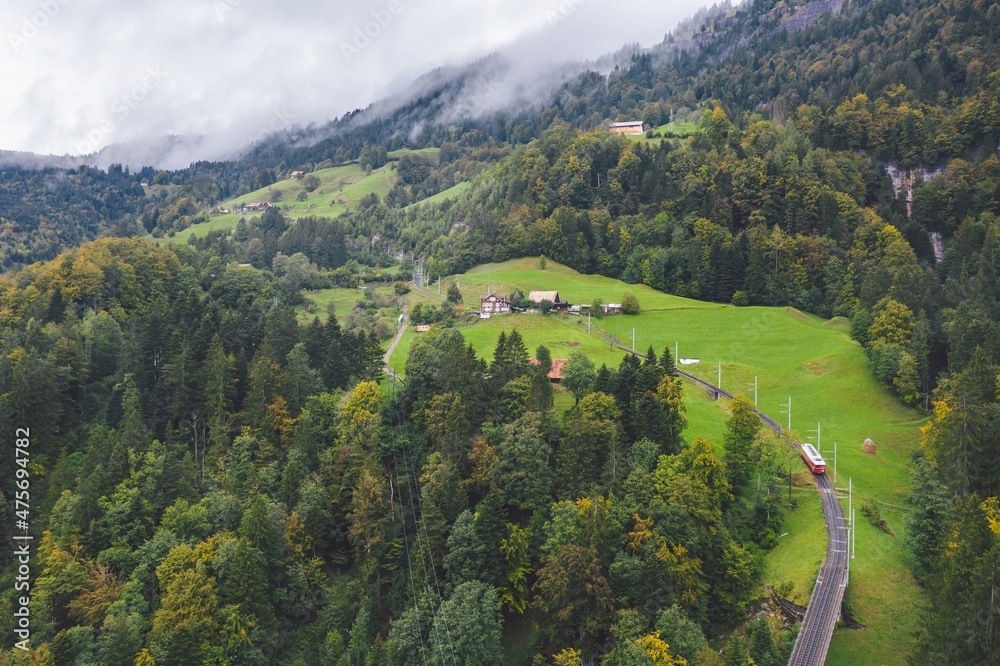 Rigi train (Rigi Bahnen) going up the Rigi mountain through the green valley in Swiss Alps. Vitznau municipality (Lucerne, Switzerland)