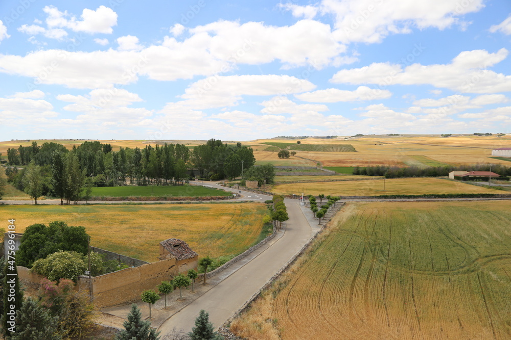 Fototapeta premium Valle