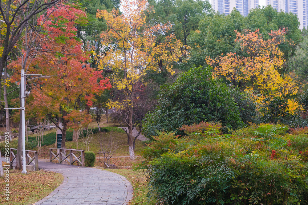Naklejka premium Autumn scenery of Yuehu Park in Wuhan, Hubei, China