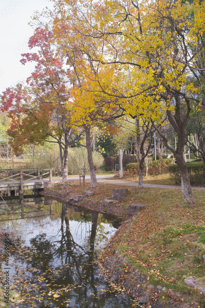 Autumn scenery of Yuehu Park in Wuhan, Hubei, China