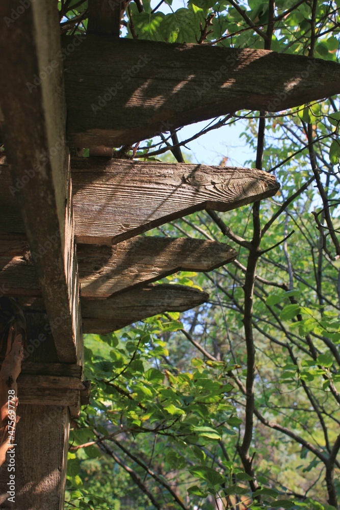 Fototapeta premium Garden trellis 