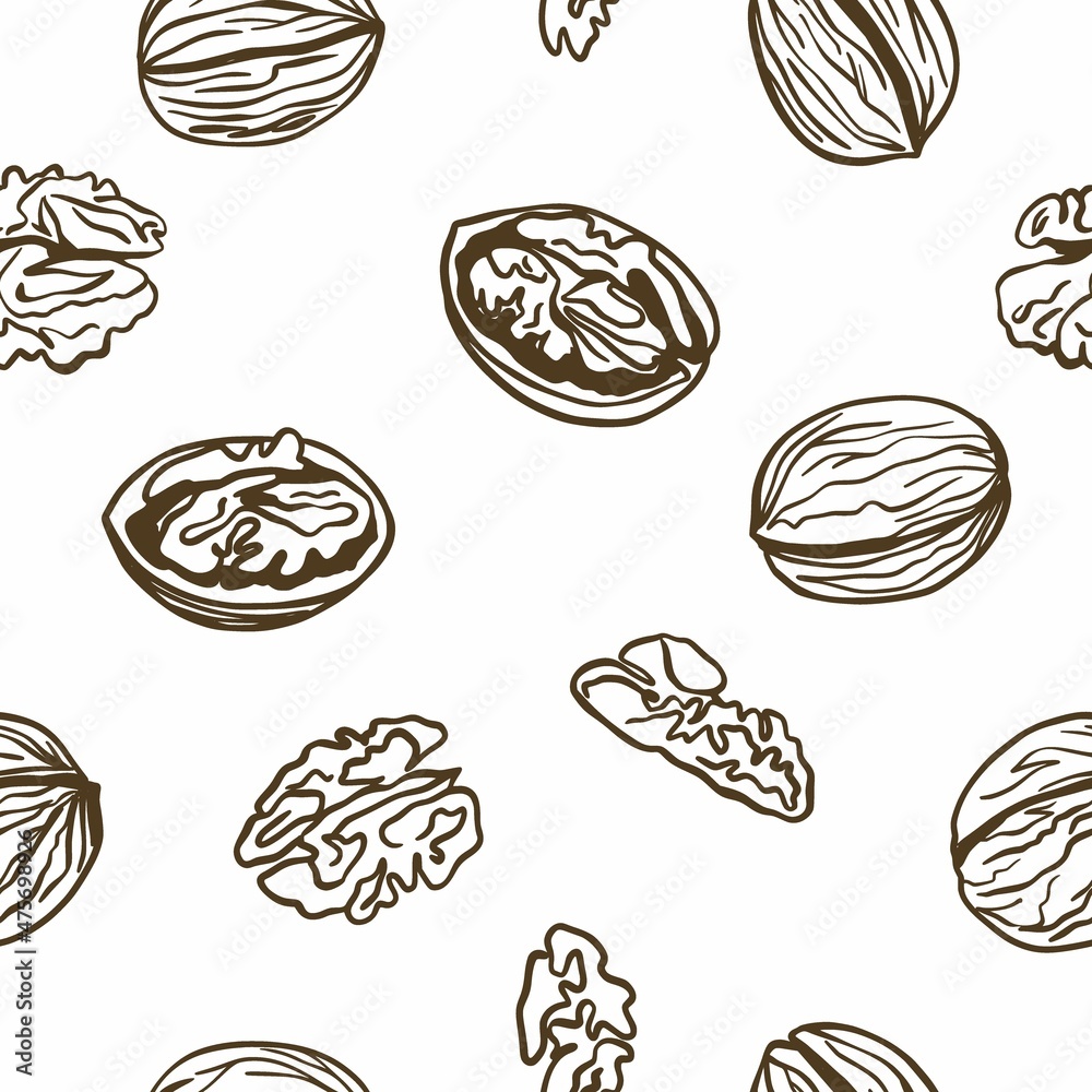 Walnuts drawing by hand Walnuts drawing by hand