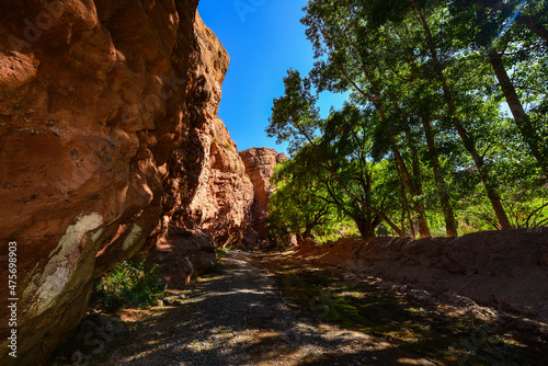 A leafy gorge on the Ruta 40 road to La Poma and the Abra del Acay mountain pass, Salta Province, northwest Argentina