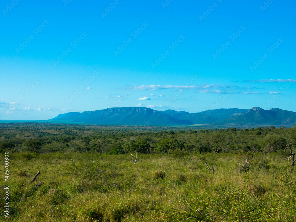 Wide angle shot of the spectacular savannah  with Mountain range in the background at Kruger national park South Africa