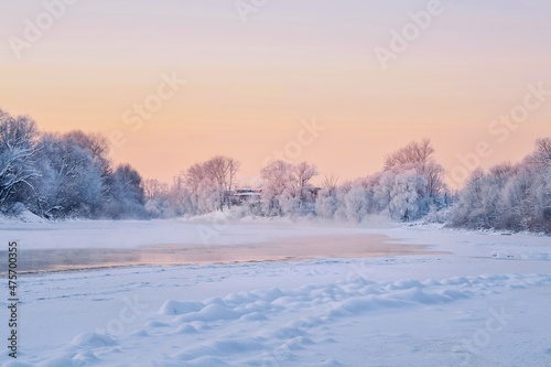 Amazing winter landscape on the river. The tree in hoarfrost is beautifully illuminated by the sun