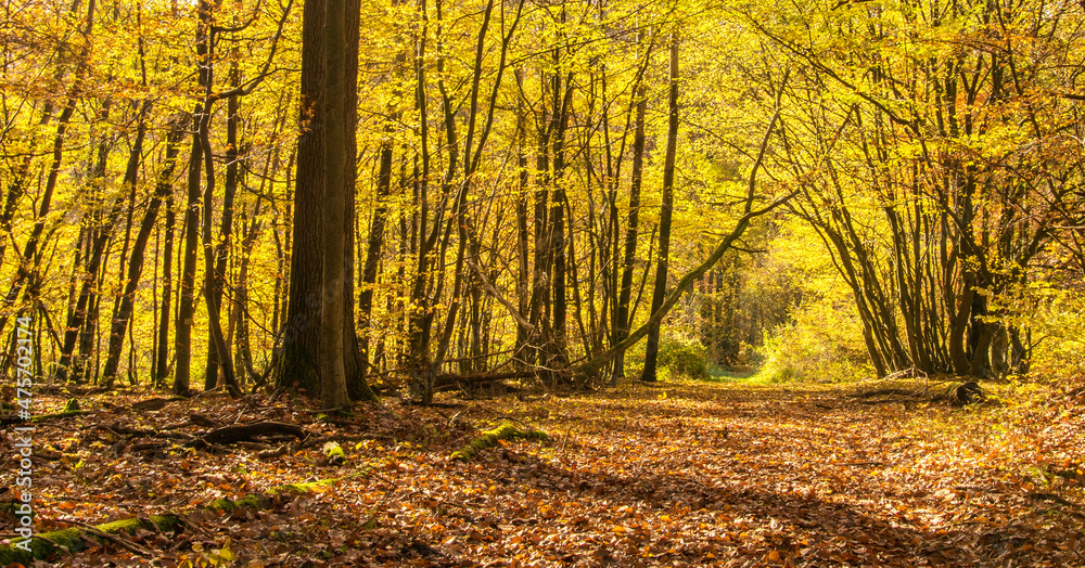 Herbst Herbst