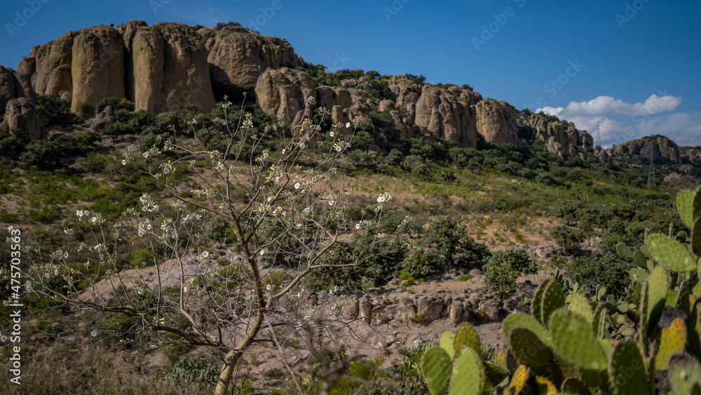 Tapias Viejas, Aguascalientes, México Tapias Viejas, Aguascalientes, México