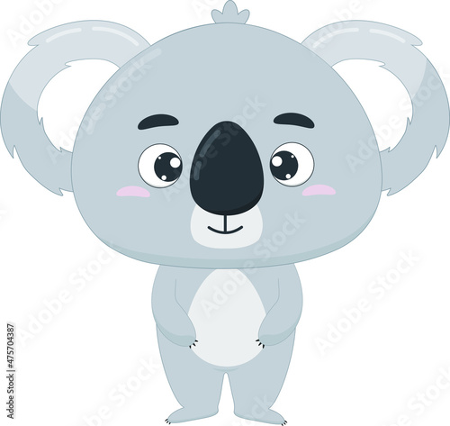 Cute cartoon vector character koala. Australian koala on white background