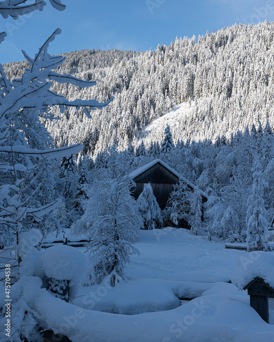 Hütte in Gosau im Winter Oberösterreich