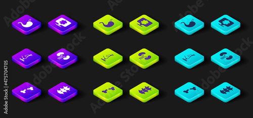 Set Human broken bone, spine, Microscope, kidneys, Medical symbol of the Emergency and stomach icon. Vector