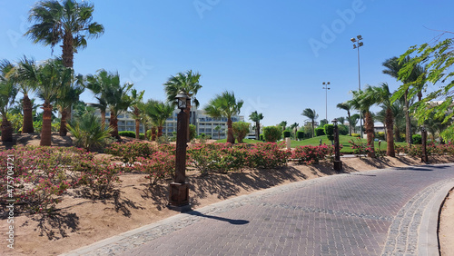 Area of Steigenberger Al Dau Beach Hotel with palm trees on a sunny day in Hurghada, Egypt photo
