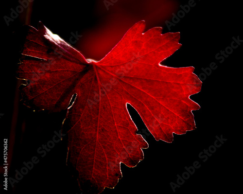 Herbst