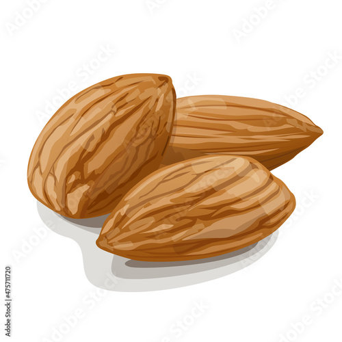 Three almonds isolated on white background. Raw vegan healthy food. Vector Illustration.