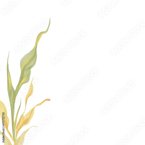 Watercolor abstract plants and flowers background. Organic wallpaper