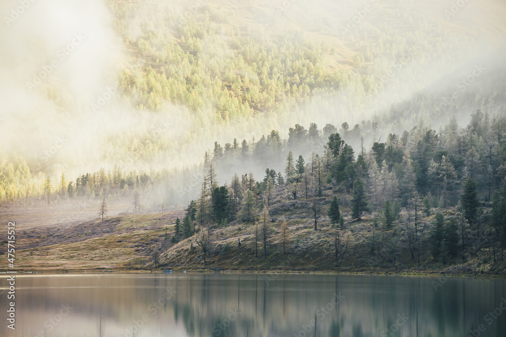 Fototapeta premium Colorful autumn landscape with mountain lake and coniferous trees with hoarfrost on hill with view to forest mountain in golden sunshine in low clouds. Sunlit yellow and frosty white larches in fog.