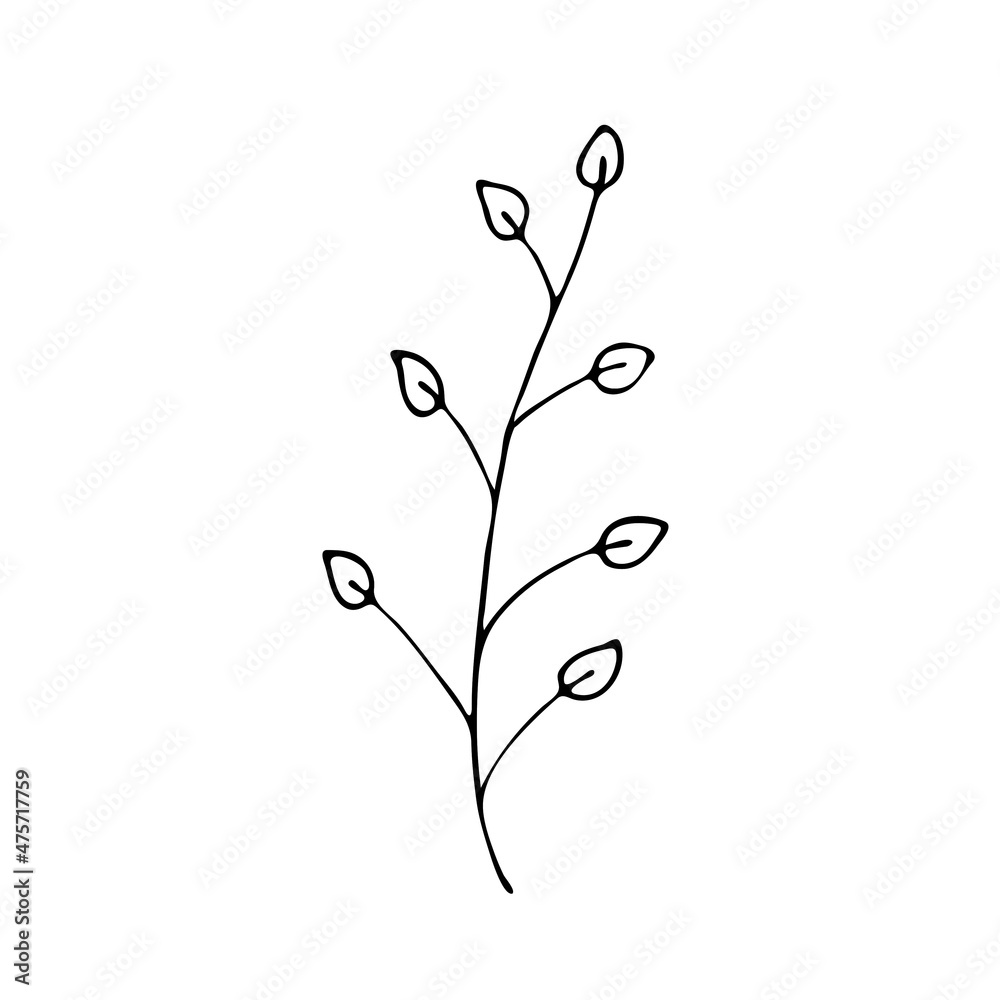 Leaves in the style of doodles. Vector design elements of a black line drawn by hand. Leaves of various plants, flowers and trees. Vector illustration. Leaves in the style of doodles. Vector design elements of a black line drawn by hand. Leaves of various plants, flowers and trees. Vector illustration.