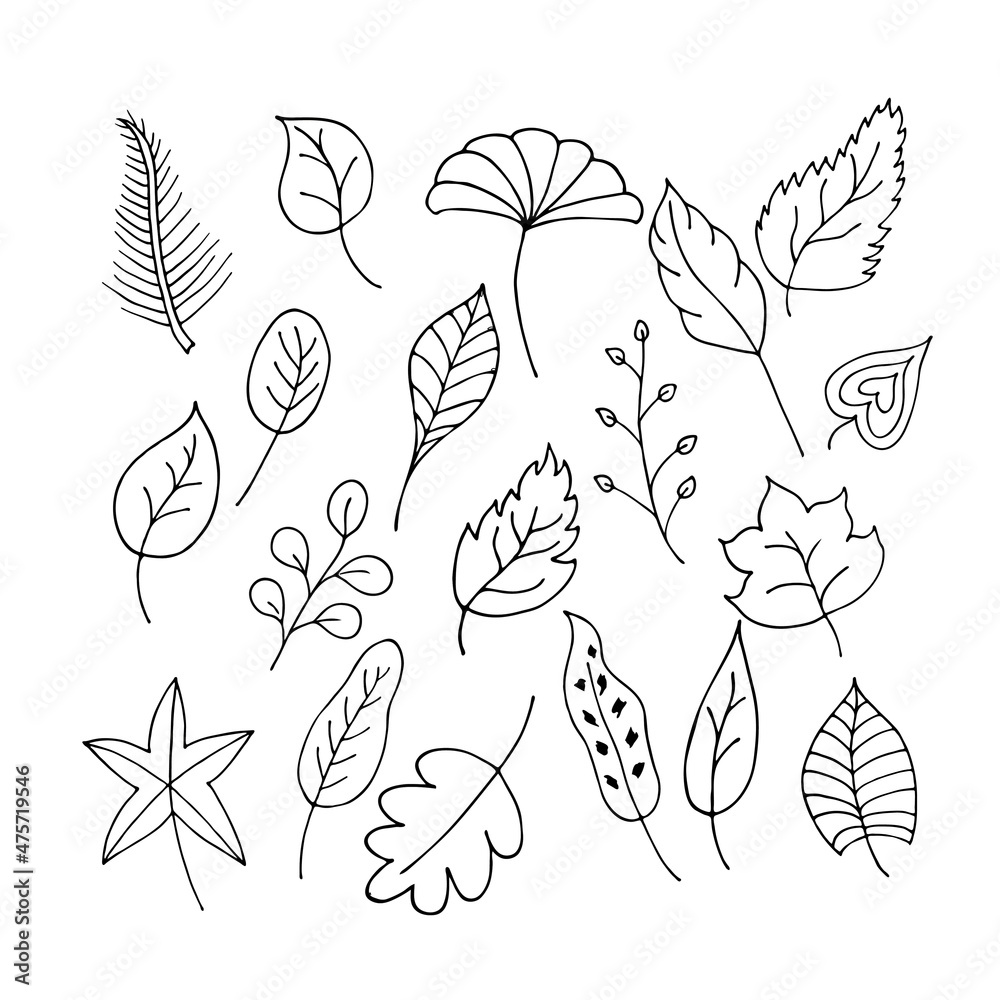 Leaves in the style of doodles. Set of leaves. Vector design elements of a black line drawn by hand. Leaves of various plants, flowers and trees. Vector illustration. Leaves in the style of doodles. Set of leaves. Vector design elements of a black line drawn by hand. Leaves of various plants, flowers and trees. Vector illustration.