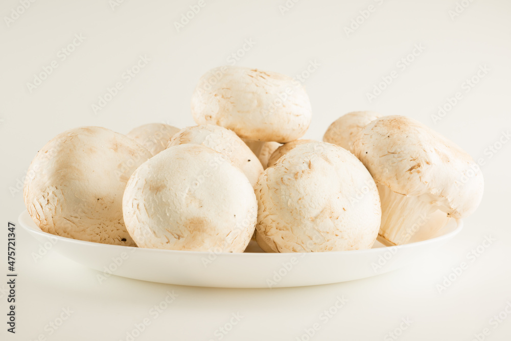 premium champignon mushrooms isolated premium champignon mushrooms isolated