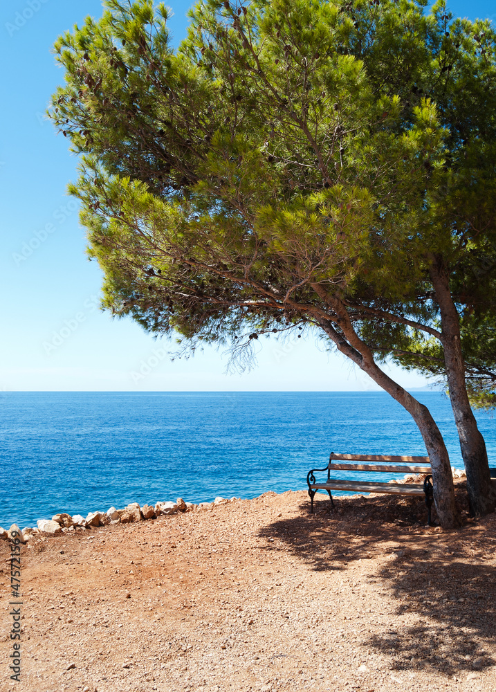 Wooden bench on cliff, beach under coniferous tree Wooden bench on cliff, beach under coniferous tree