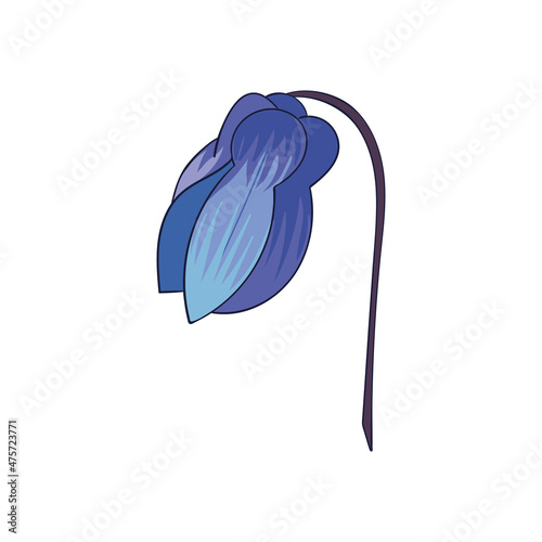snowdrop proleska flower. Scilla. the first spring flower. vector drawing in color, isolated
